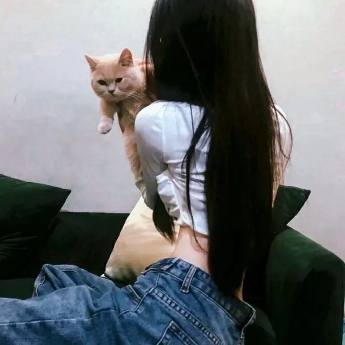 红色护卫