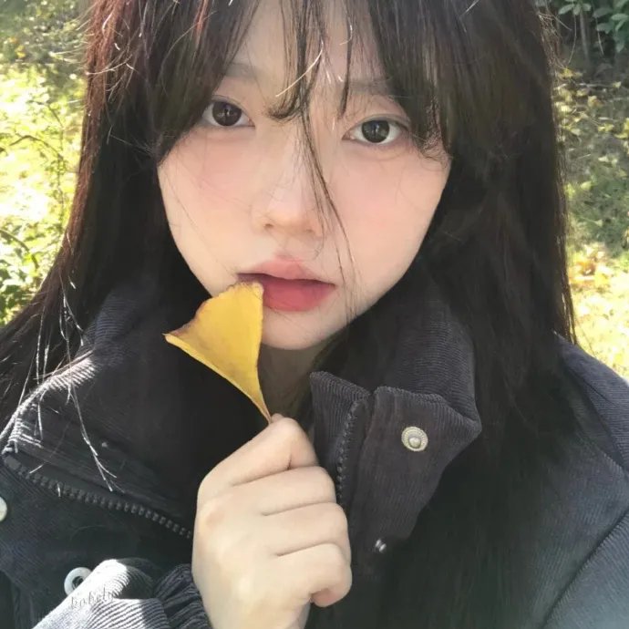加菲猫和他的朋友们第一季