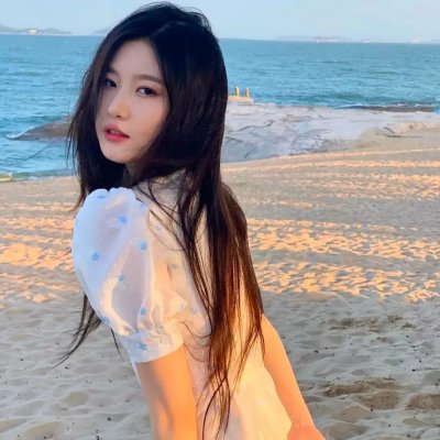 妙探机灵狗